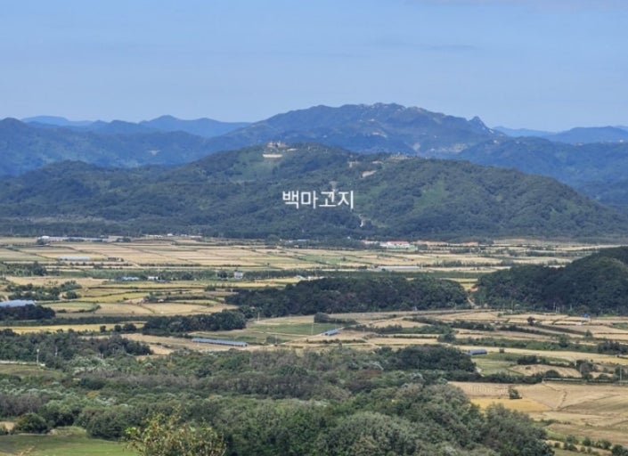Baengmagoji