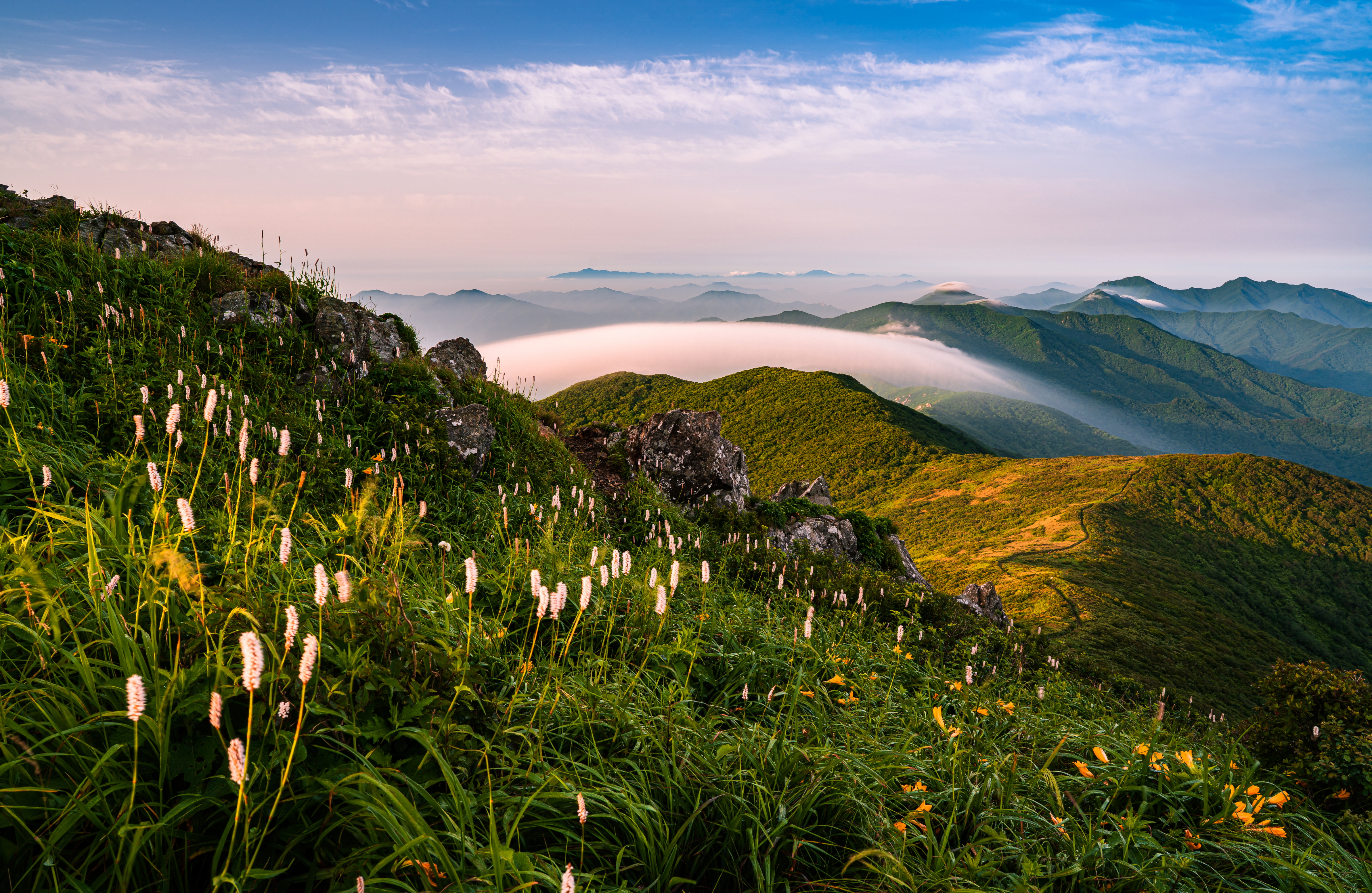 Deogyusan green summer ridgeline