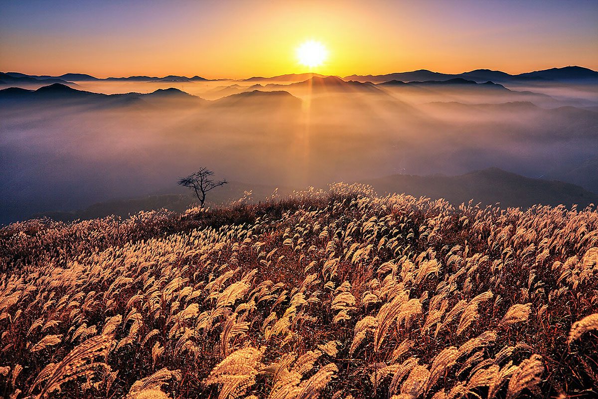 Mindungsan silver grass fields