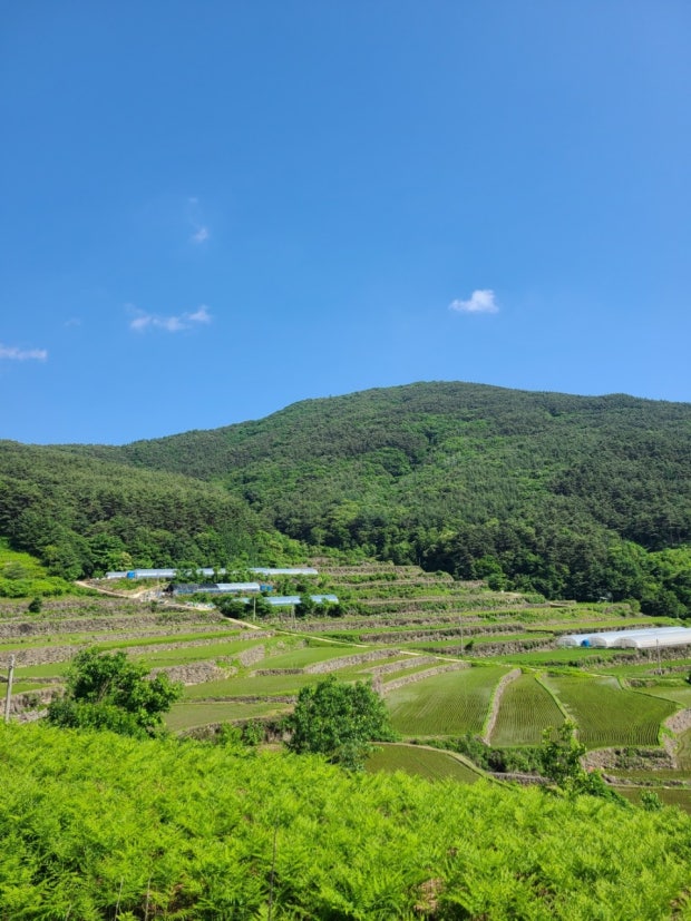 Jirisan Dulle-gil rice paddies and village